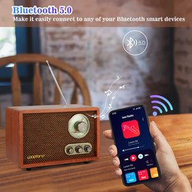 LoopTone back panel ports with USB and SD card access for playback benefit