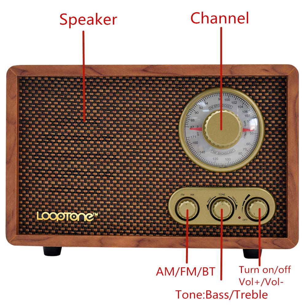 LoopTone AM/FM dial and frequency display for quick analog station selection
