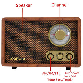 LoopTone AM/FM dial and frequency display for quick analog station selection