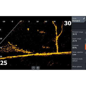 Lowrance ActiveTarget 2 down view reveals fish and structure beneath the hull.