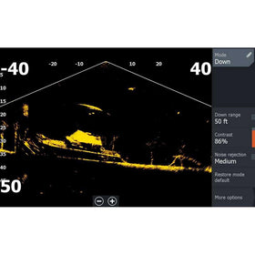 Lowrance ActiveTarget 2 scout view demonstrates wide-angle bait tracking from the side.