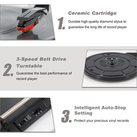 LP&No.1 3-speed belt-drive turntable supports 33/45/78 RPM