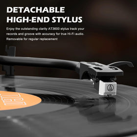 LP&No.1 Bluetooth connectivity for easy speaker pairing.