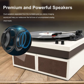 LP&No.1 dust-cover closed protects records during playback