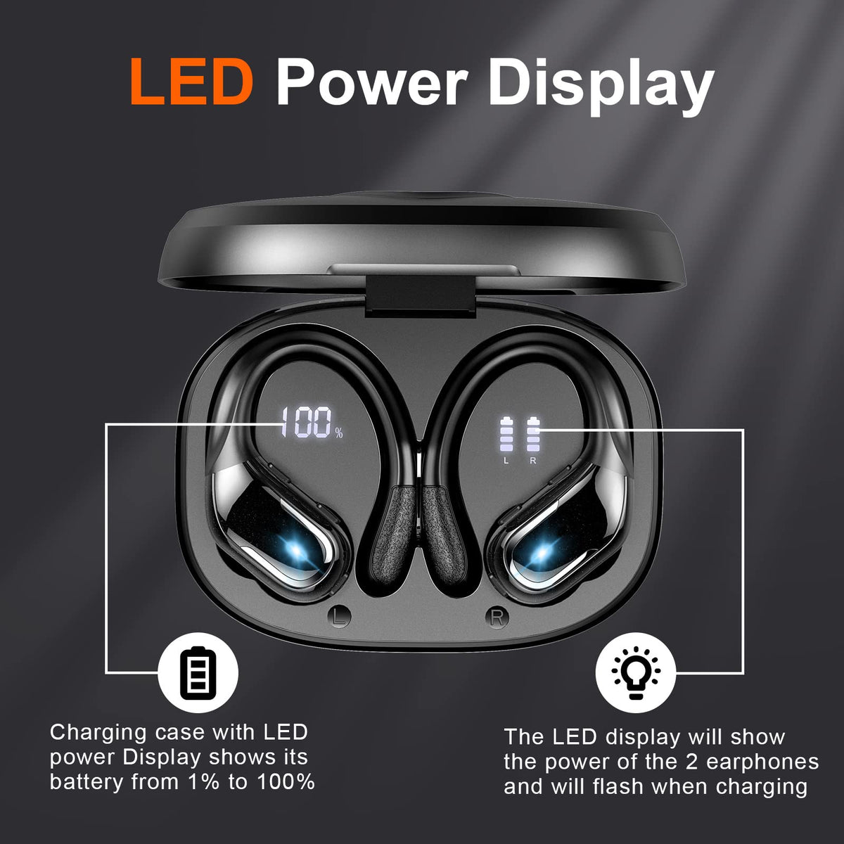 Ltinist charging case with dual LED display for clear battery status