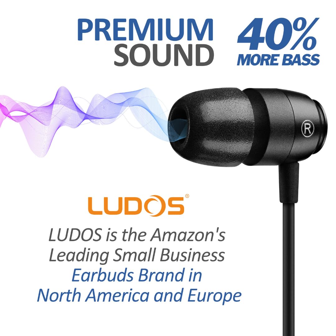 LUDOS Clamor 2 Pro memory foam tips close-up.