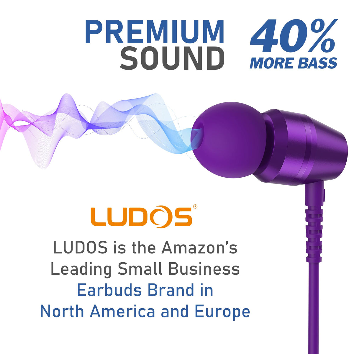 LUDOS OMNITONE 5-year warranty and responsive customer support.