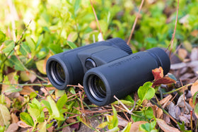 Lumintrail Prostaff P3 10x42 packaging highlighting objective lenses