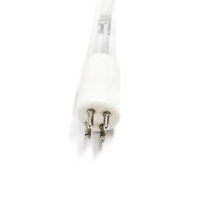 Lutrace Aqua lamp with 10,000-hour lifespan for durable daily use.