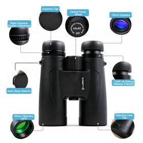 Luzsco binoculars used birdwatching to spot wildlife with improved detail