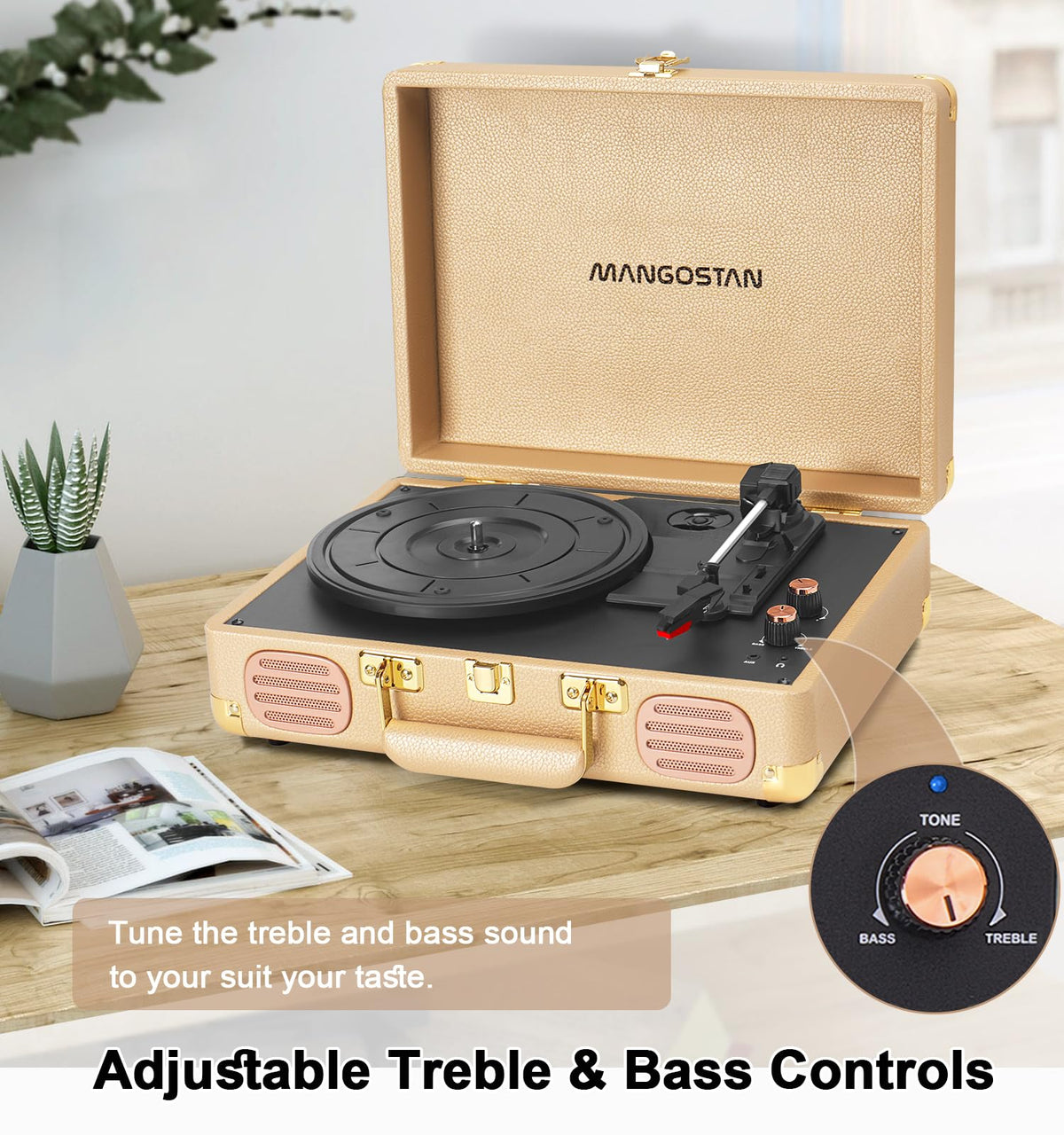 MANGOSTAN record beside hand for size comparison and easy handling