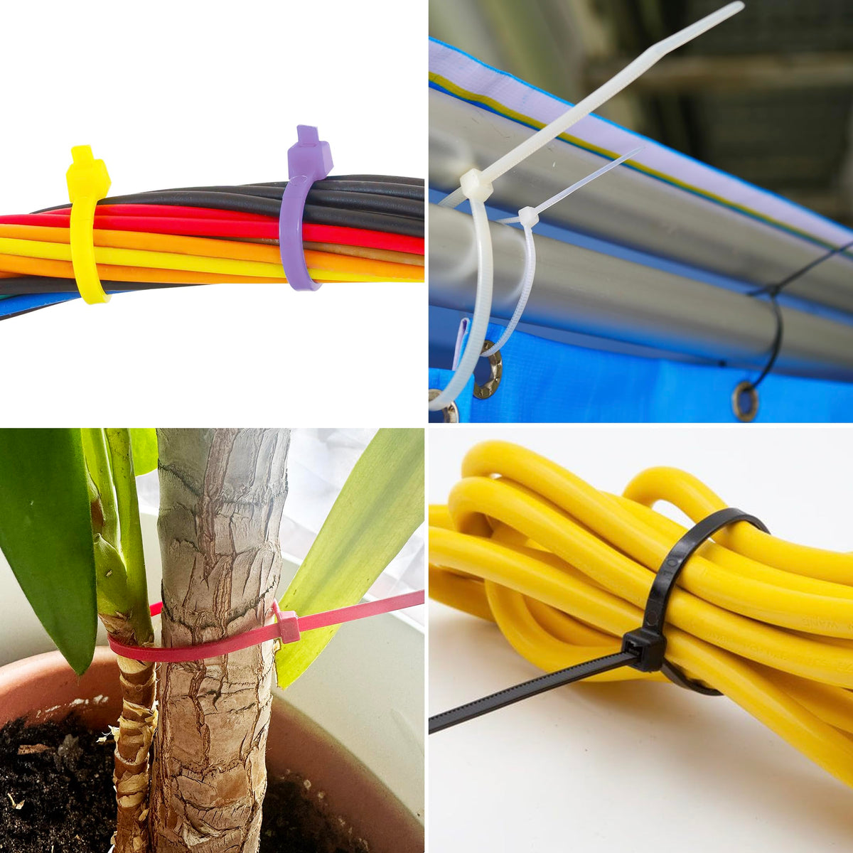 Maxxima color-coded ties bundling cables for fast visual organization