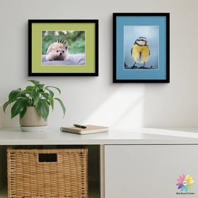Mat boards suitable for photos and artwork display