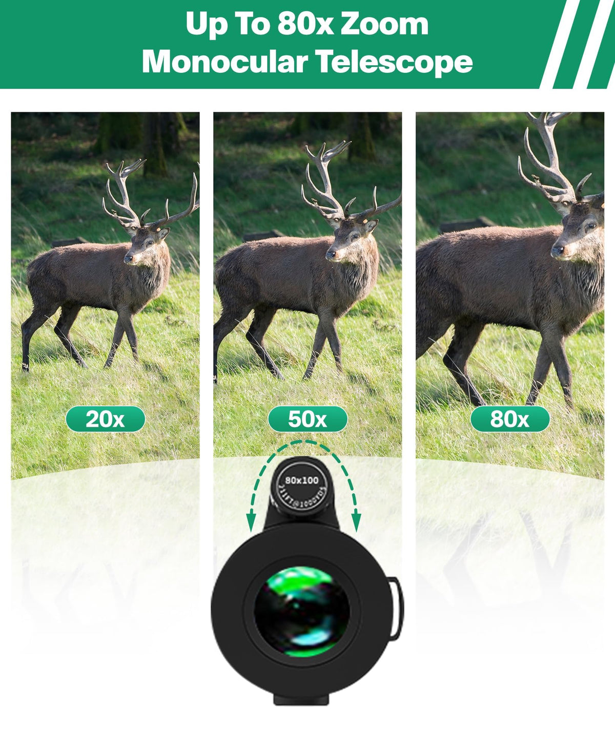 MD.LIFE monocular with smartphone attached demonstrating easy digiscoping