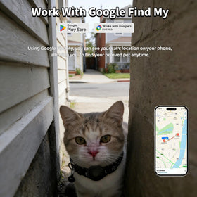MDTZULIK cat tracker waterproof collar for outdoor adventures and rain resilience