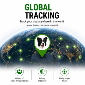 MDTZULIK Pet Tracker connected to Apple Find My on iPhone.
