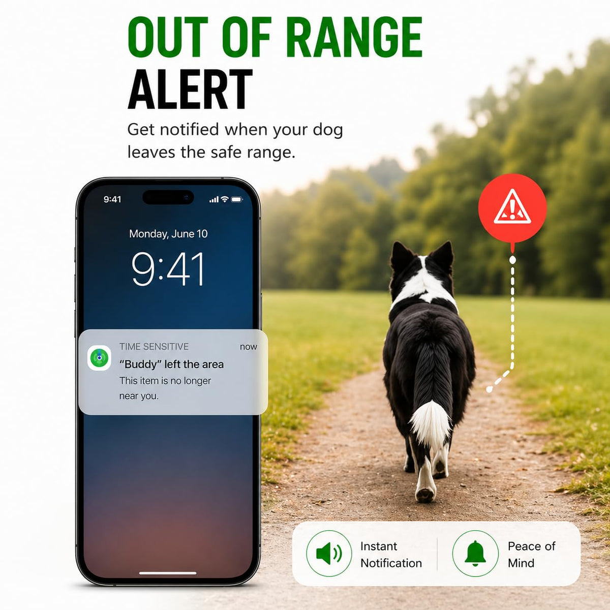 MDTZULIK GPS collar with no monthly fee for real-time location.