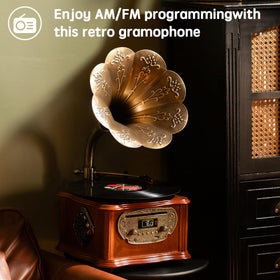 MEAGEAL vintage gift-ready packaging invites thoughtful music lover presents.