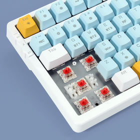 Merdia hot-swap switch socket detail highlighting easy switch replacement and customization