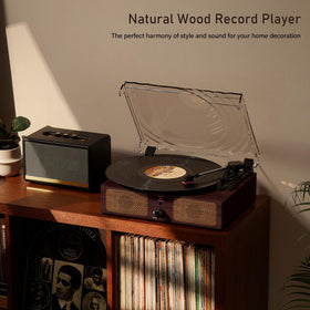 Mersoco with closed dust cover protecting turntable, keeps records clean