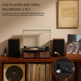 Mersoco in a living room setting as decor and entertainment centerpiece