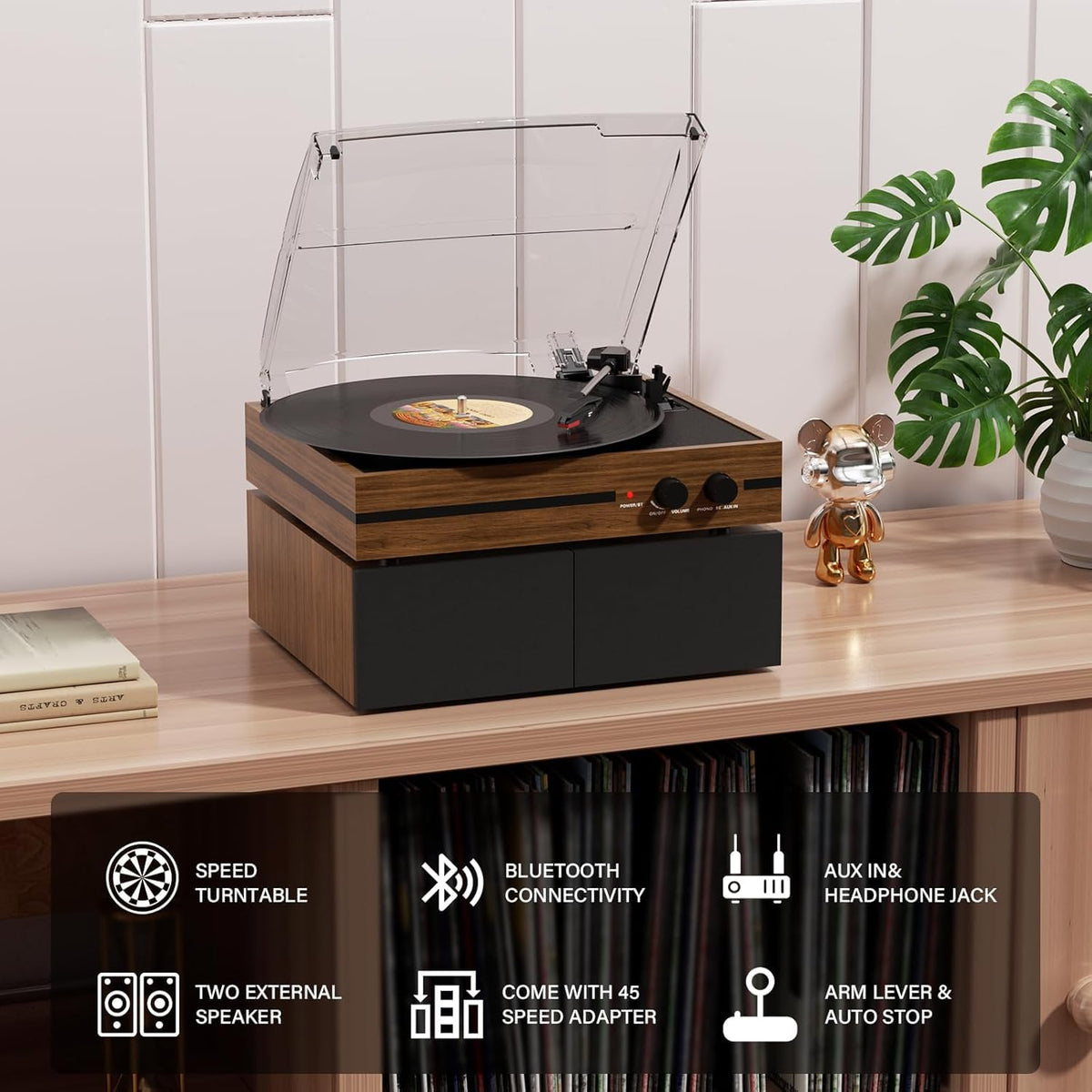 Mersoco RCA output for connection to external speakers