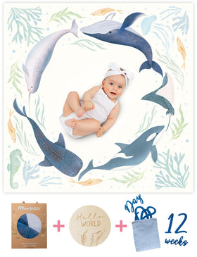 Miaoberry Hello World wooden sign highlighting monthly milestones during shoots
