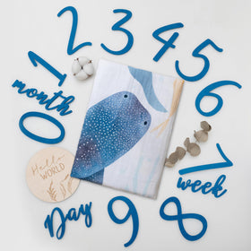 Miaoberry Ocean Milestone Blanket with sea theme for adorable newborn photos