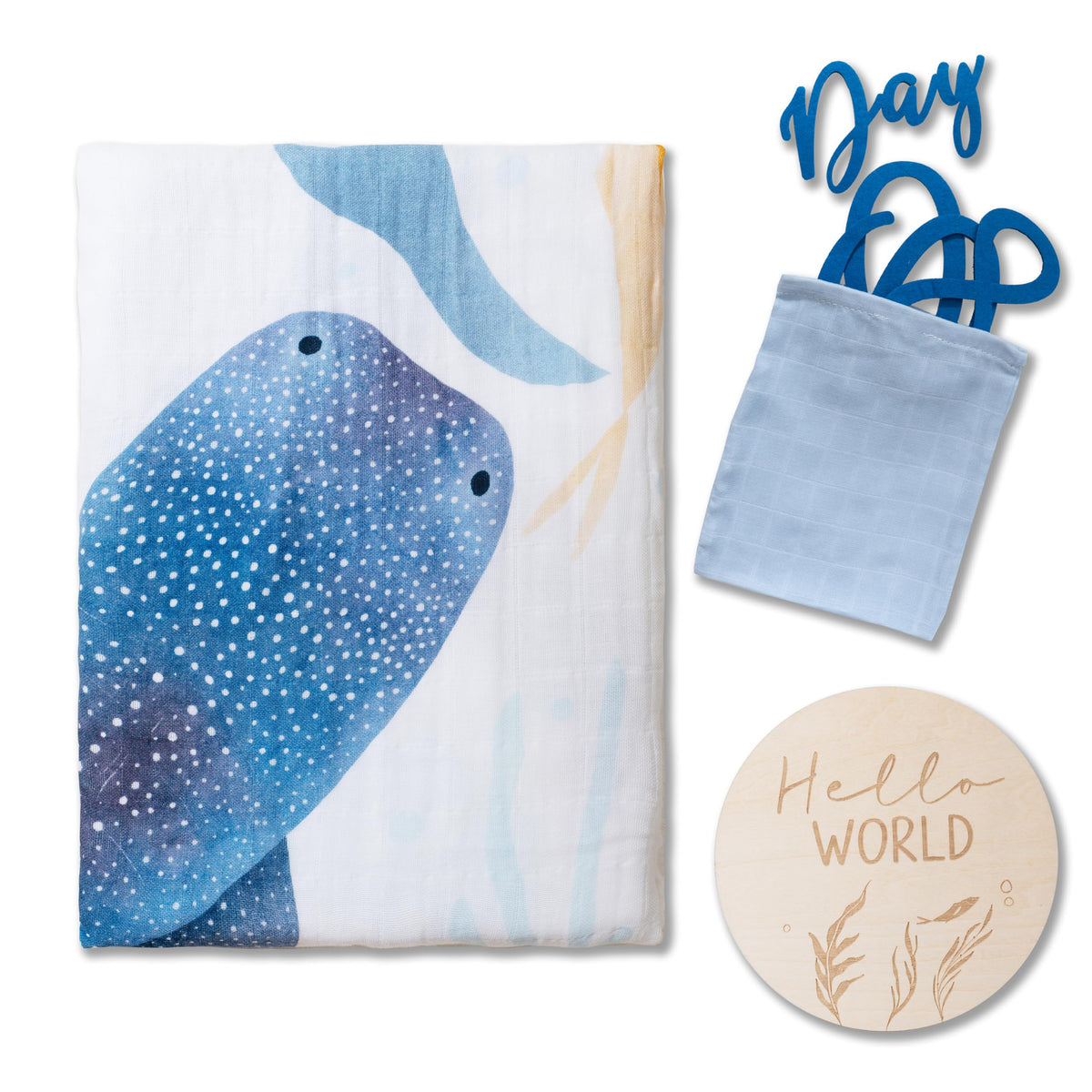 Miaoberry Under-the-sea theme stands out in ocean nursery photography