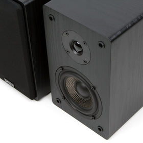Micca MB42 full-size 5-way binding posts enable flexible speaker wire connections.
