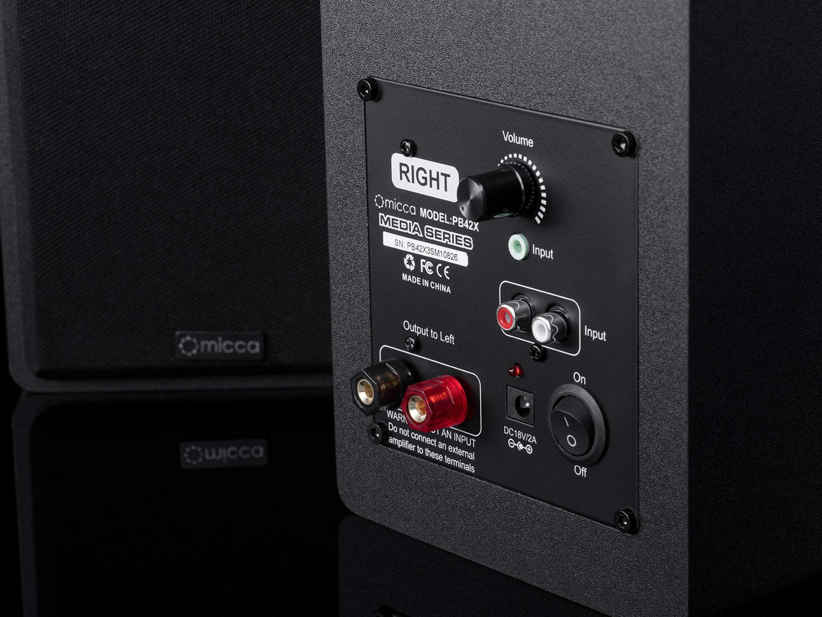 Micca PB42X tweeter close-up shows silk dome precision.