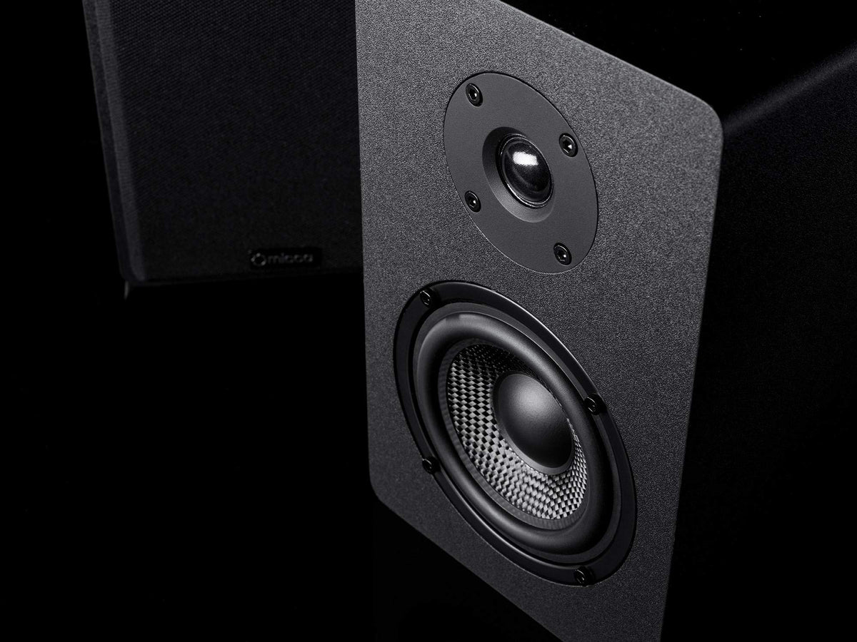Micca PB42X woofer close-up for responsive bass detail.