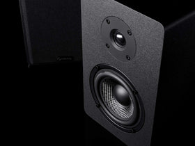 Micca PB42X woofer close-up for responsive bass detail.