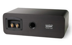 Micca RB42-C tweeter detail emphasizes silk dome and neodymium magnet.