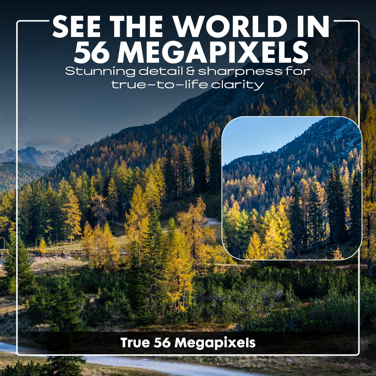 Minolta 5x optical zoom keeps distant subjects sharp and clear.