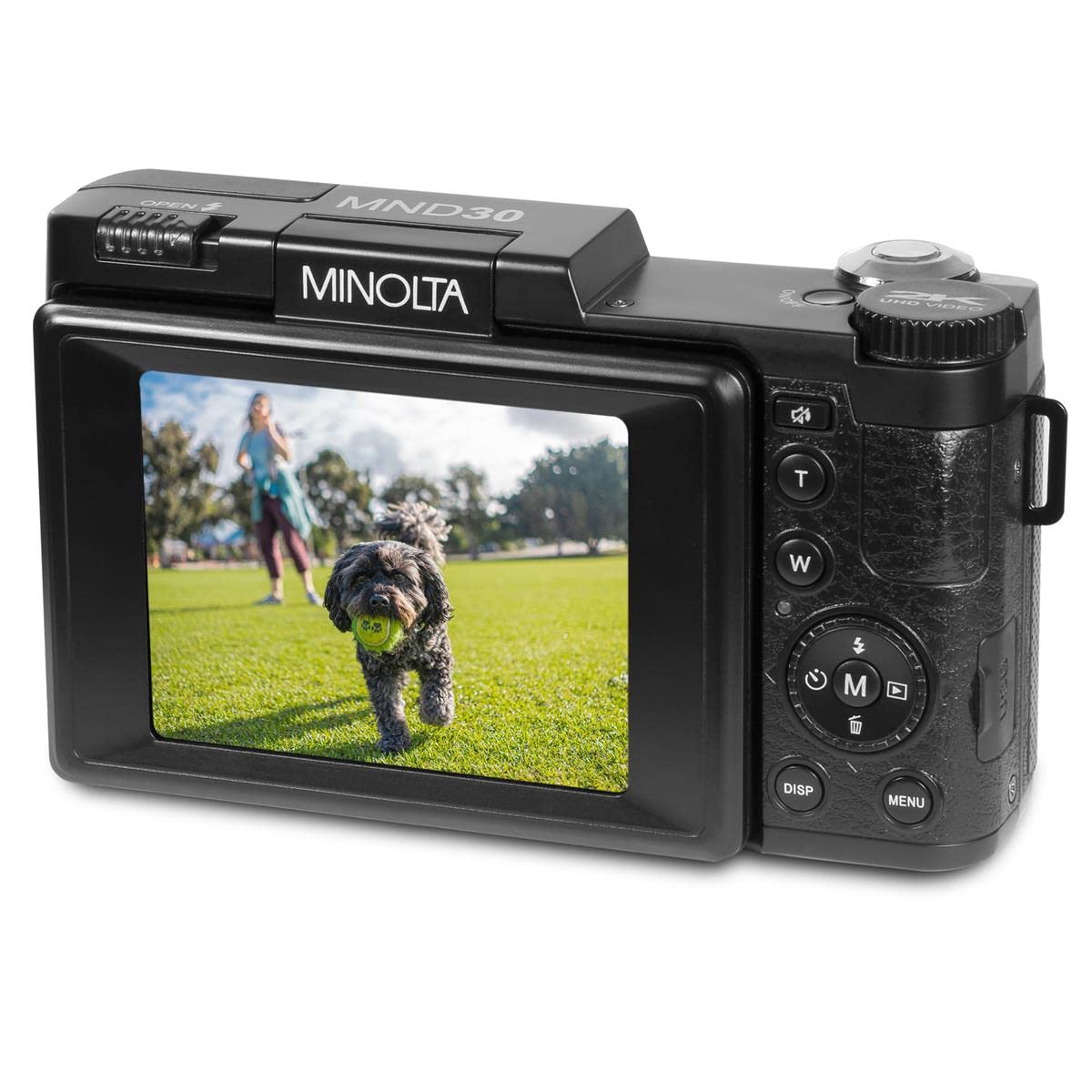 Minolta sample printed photo showing high-resolution output for large prints