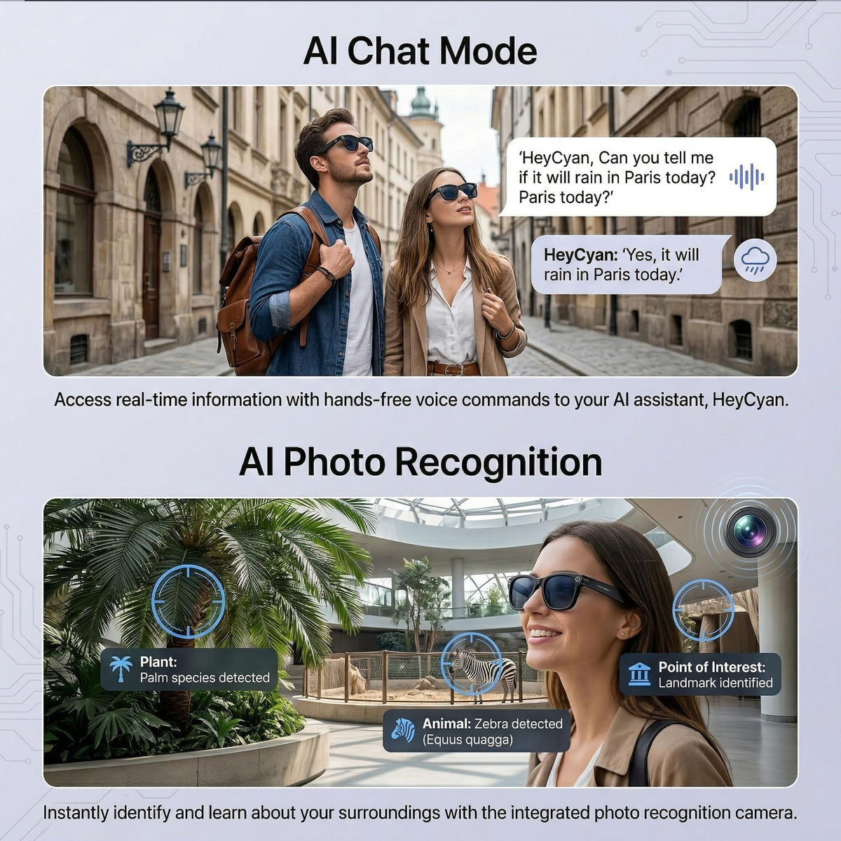 MNVOEQ translator feature glasses assist language translation while traveling