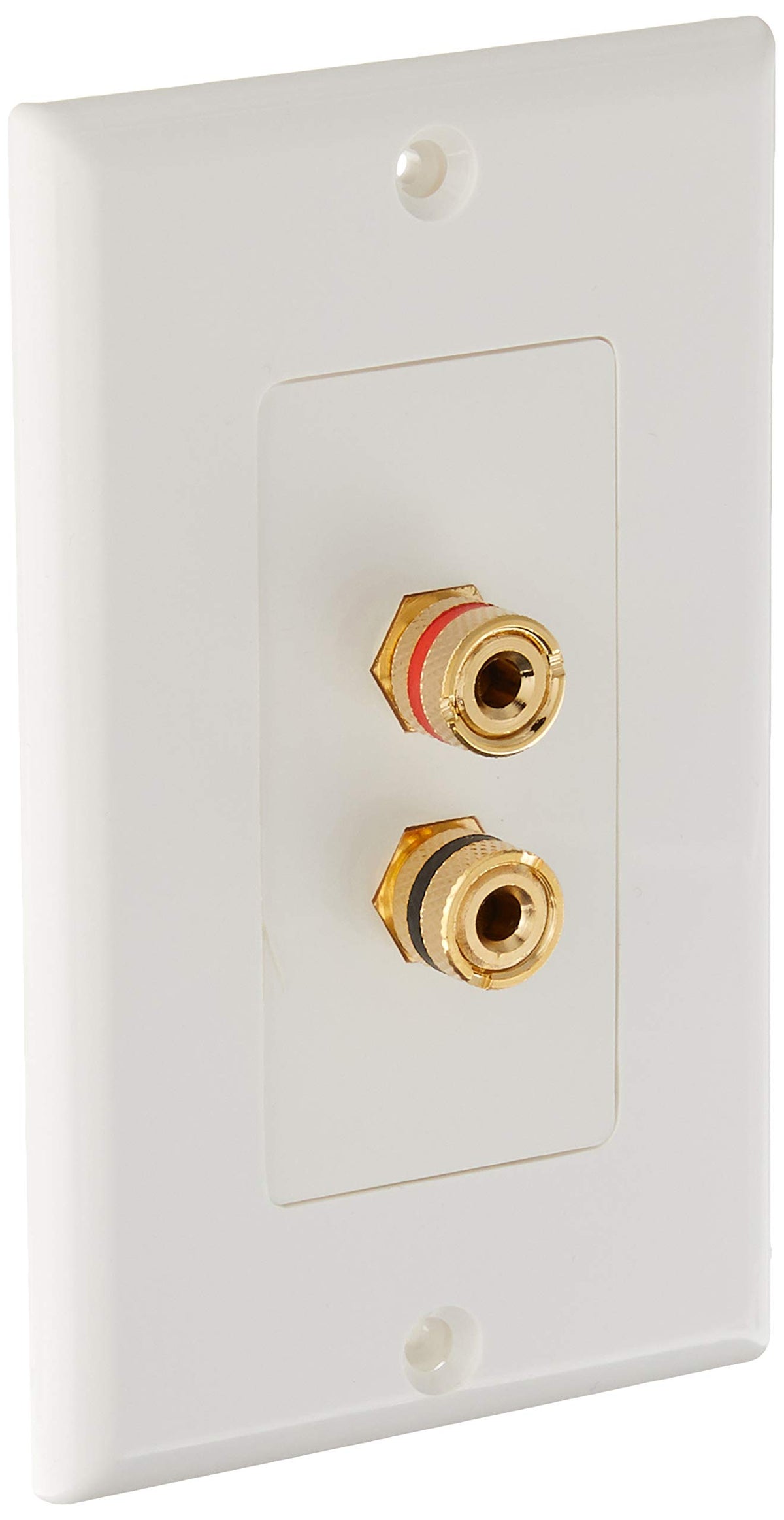 Monoprice front wall plate view showing gold binding post and tidy finish with polarity benefit