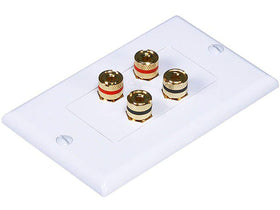 Monoprice front view wall plate showing two banana posts, clean appearance and easy access