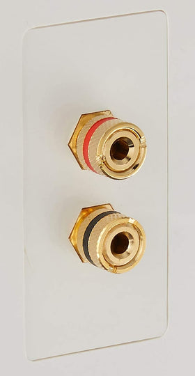 Monoprice installed in-wall setup with speaker cable connected showing neat room-ready connection