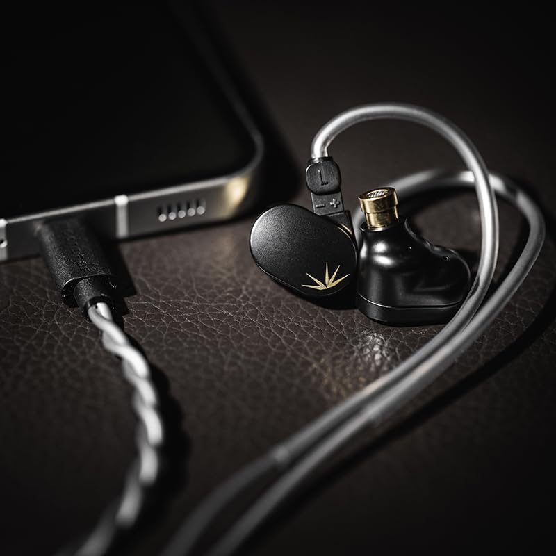 Moondrop CHU II DSP leather case with ear-tips and manual demonstrating portable protection