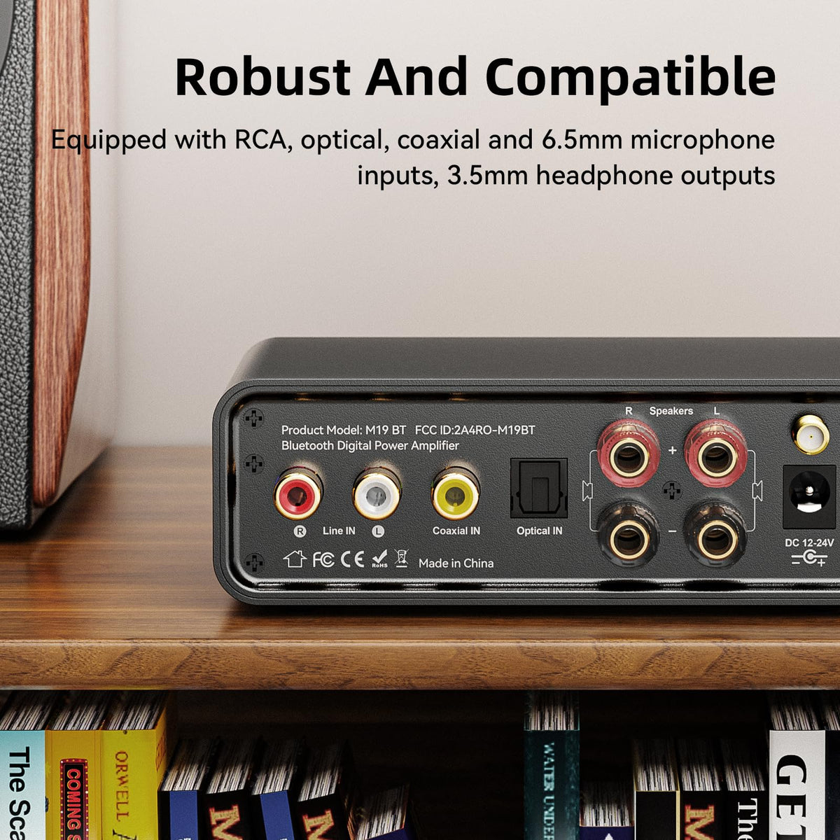 MOREGAX M19 connected to passive speakers demonstrating versatile drive
