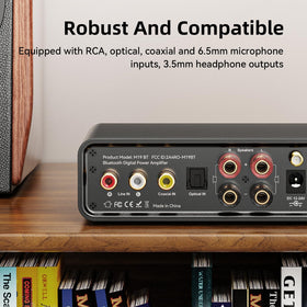 MOREGAX M19 connected to passive speakers demonstrating versatile drive