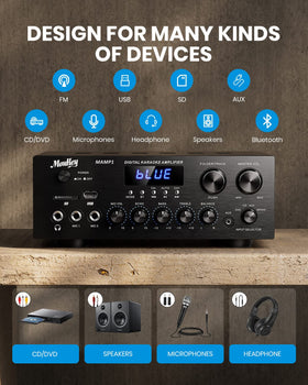 Moukey rear connections with RCA, speaker outputs and flexibility benefit