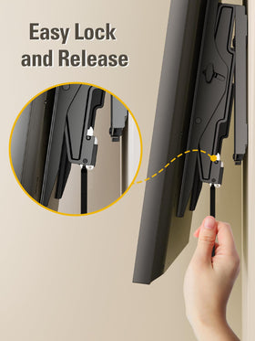 Mounting Dream scale comparison with TV demonstrating max VESA and size fit