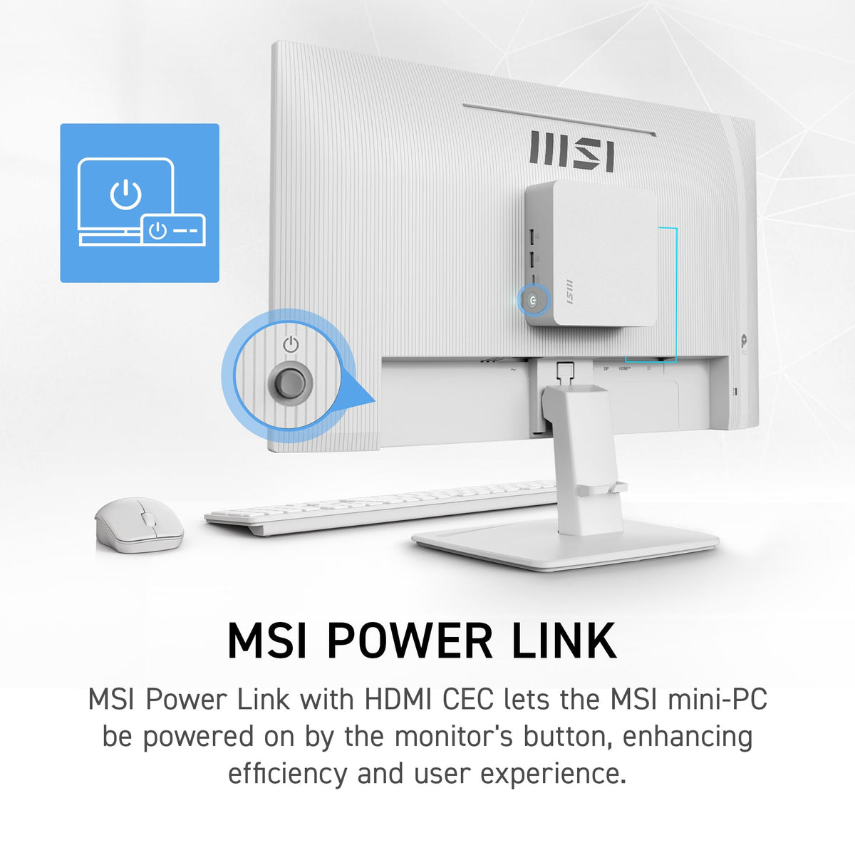 MSI PRO MP243W E14 VESA mount compatibility for versatile desk setups.