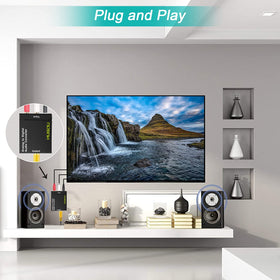 Musou RCA to digital outputs support simultaneous coax and optical connections
