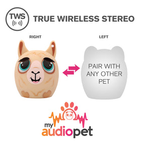 My Audio Pet Mini in hand during playtime delivers portable tunes