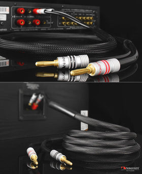 Nakamichi Excel Series gold-plated terminations maintain corrosion resistance over time