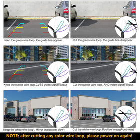 Two-in-one mounting option for license plate or surface installation.